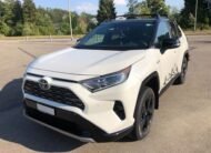 Toyota RAV 4 2.5 hsd style Hybrid Auto AWD Technik-St